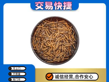 遂川县礼品回收虫草.jpg